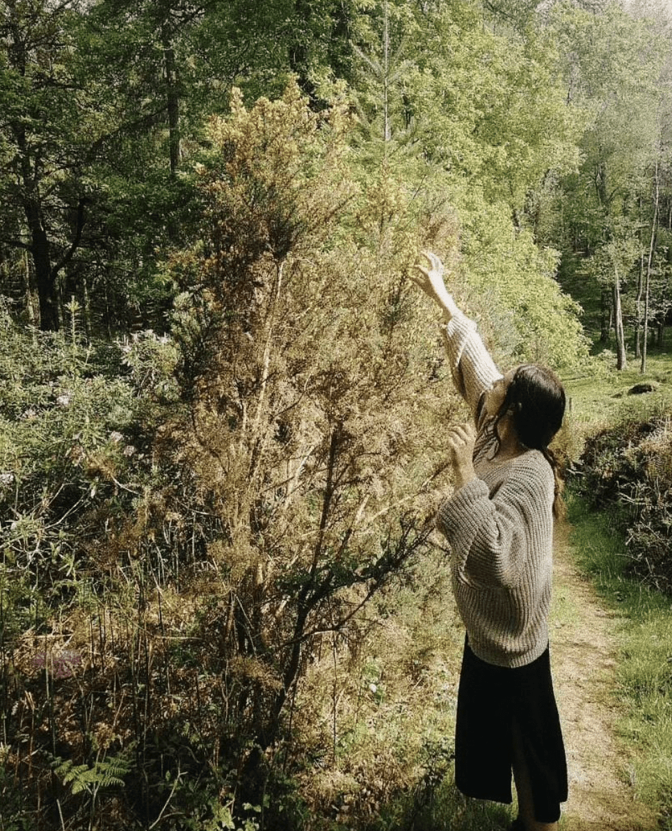 Fleur from C -et- C - C -ET- C