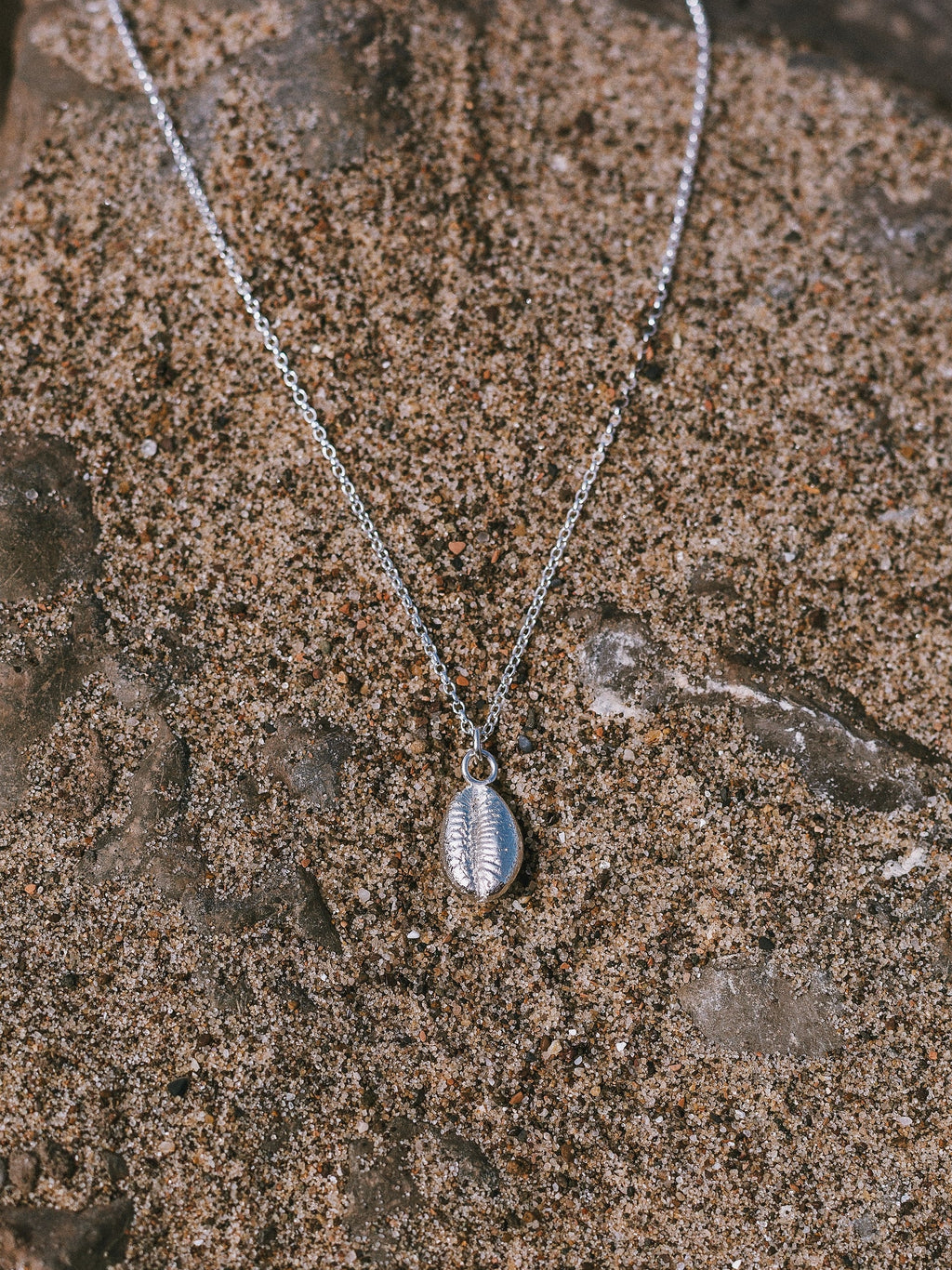 C -ET- C Large Seashell Necklace #3