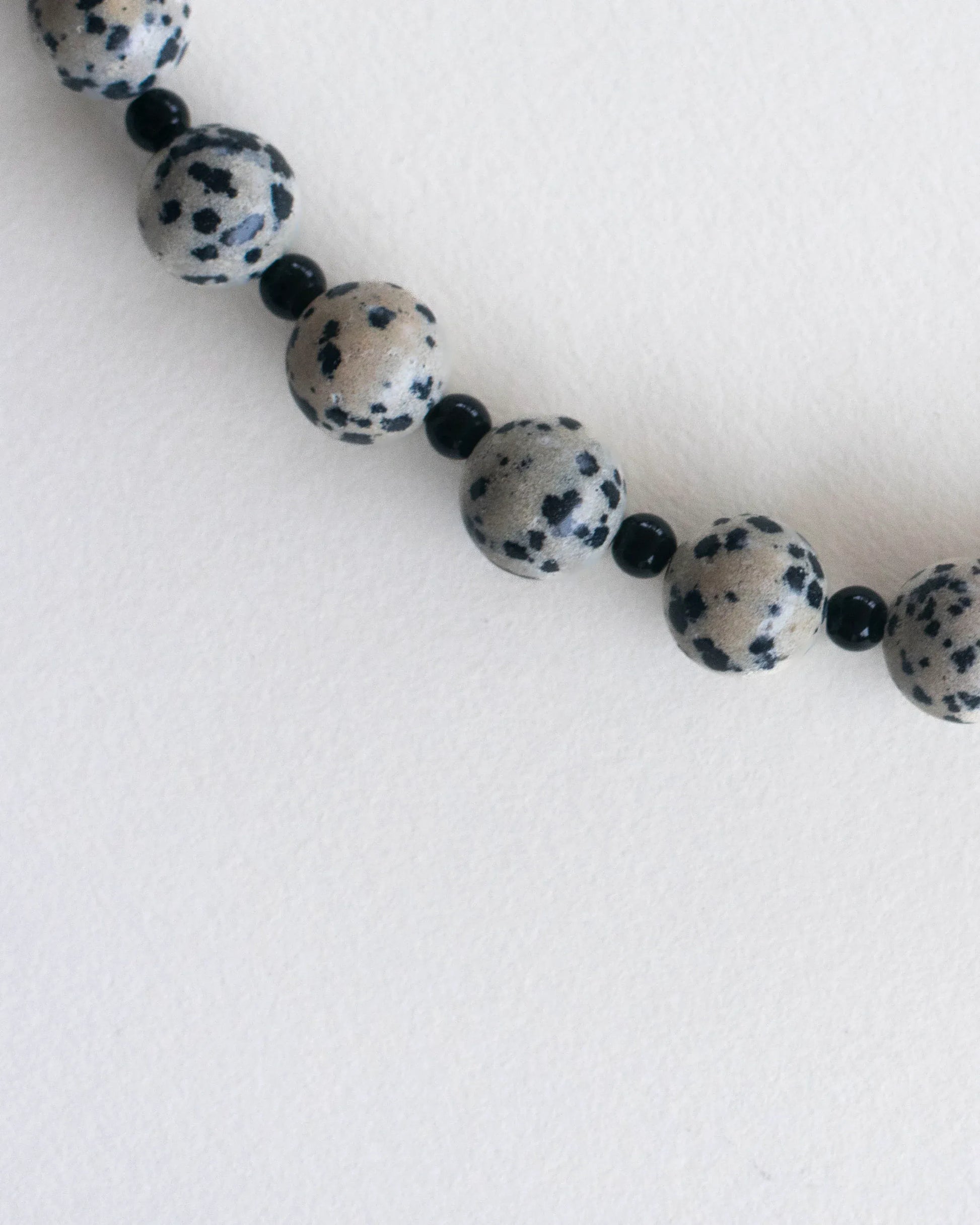 C -ET- C TERRA001 - Dalmatian Jasper / Onyx Necklace